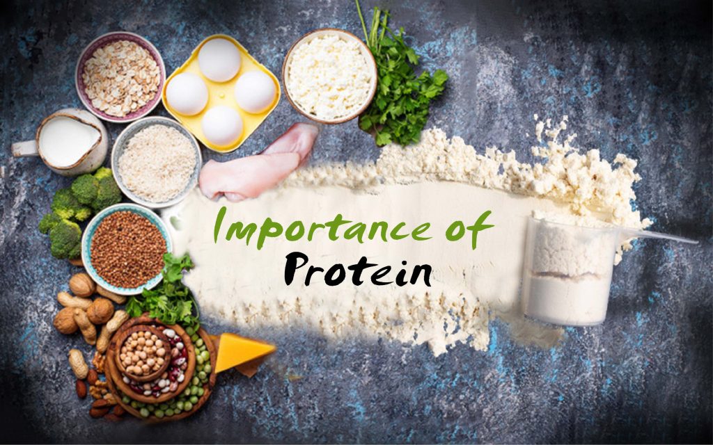 Protein: Important Nutrient for Everyone