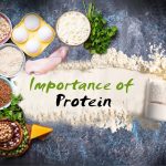 Protein: Important Nutrient for Everyone